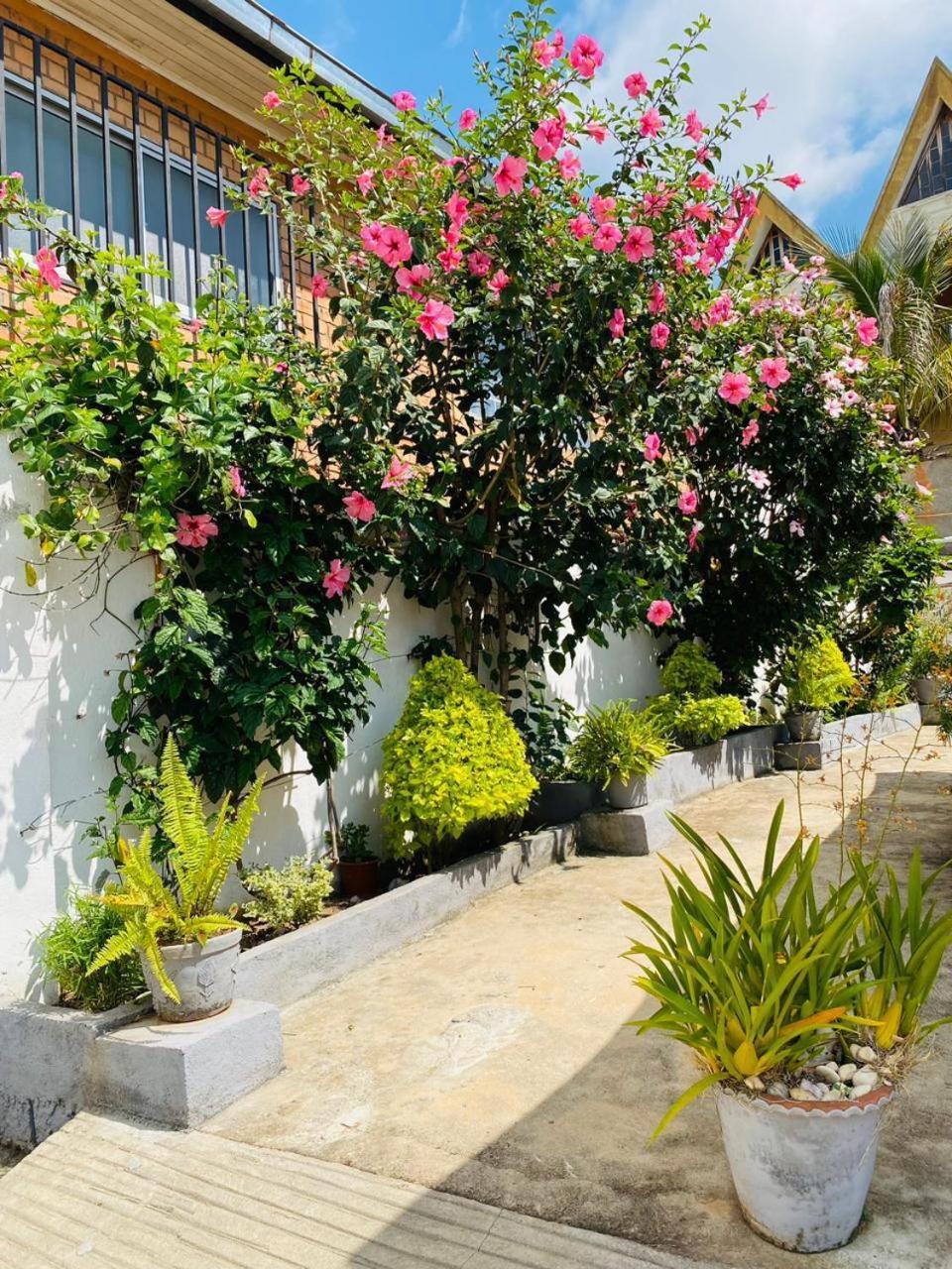 Chez Jeanne Chambre D'Hote Antananarivo Kültér fotó